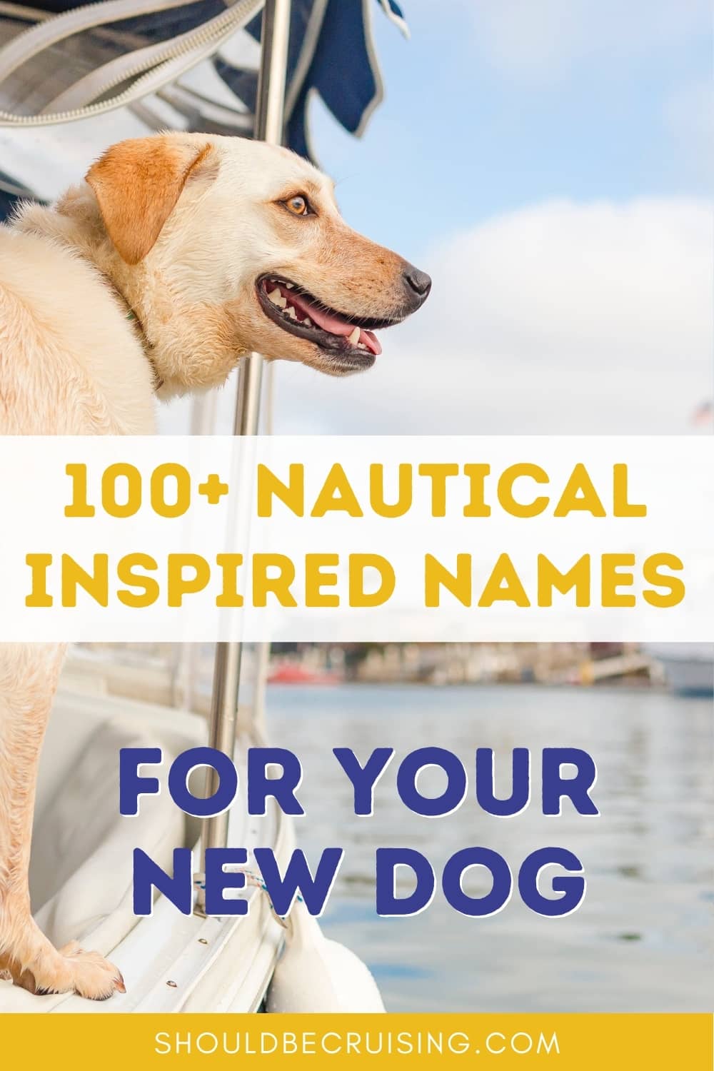 100-nautical-names-for-dogs-with-meanings-should-be-cruising